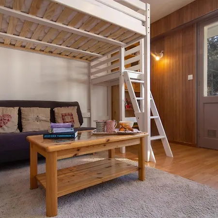 Apt. La Larze 58 Apartment Chamonix