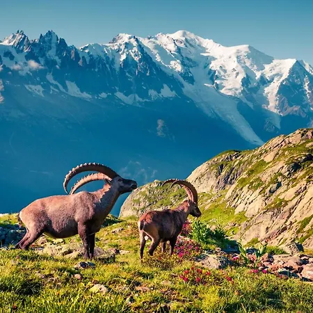 Apt. La Larze 58 Apartment *