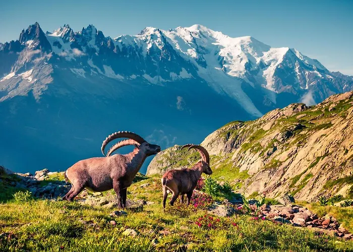 Apt. La Larze 58 Appartement *