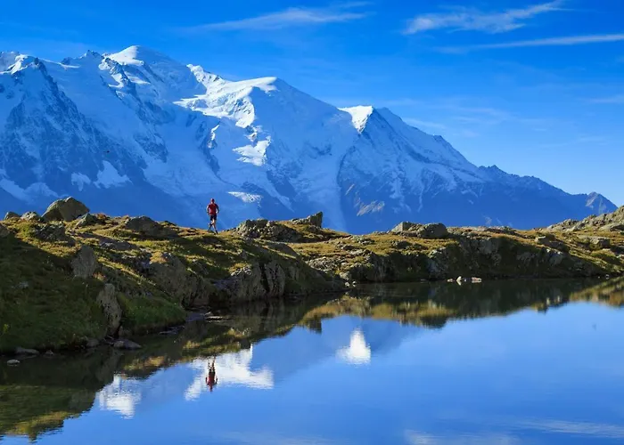 Apt. La Larze 58 Διαμέρισμα Σαμονί